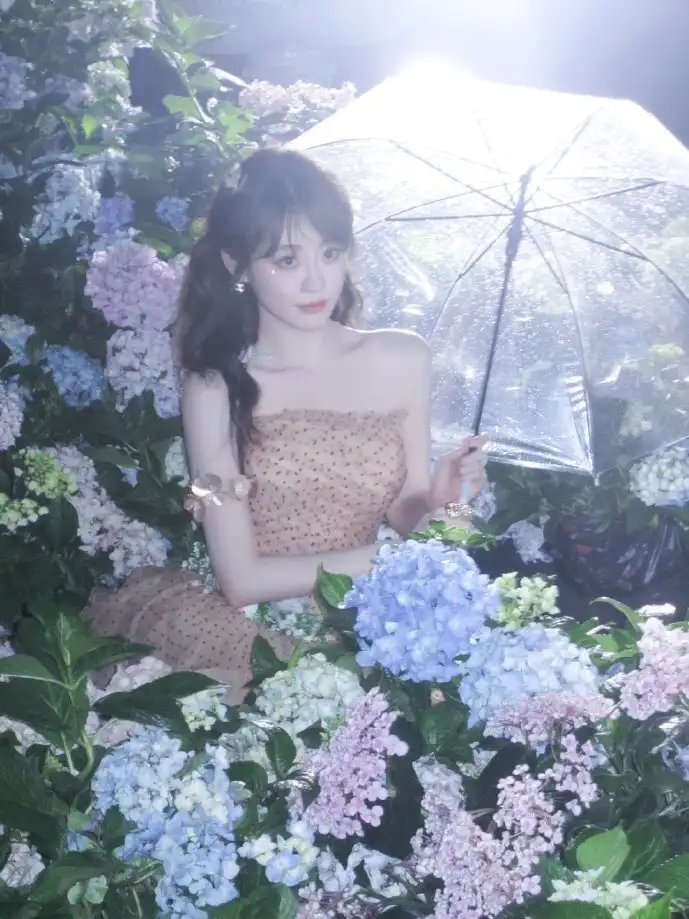 数据可视化图表